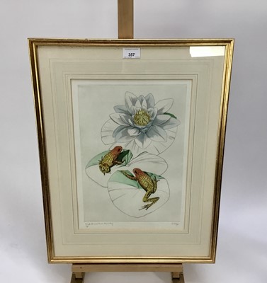 Lot 357 - 20th century English School signed limited edition coloured etching - Rugh Skinned Poison Arrow Frogs, 5/70, 39cm x 28cm, in glazed git frame