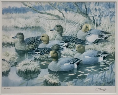 Lot 359 - Charles Frederick Tunnicliffe (1901-1979) signed limited edition print - Wigeon, 186/300, 31cm x 38cm, in gaze gilt frame