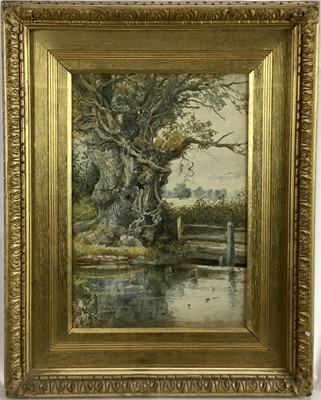 Lot 155 - English School, early 20th century watercolour, English oak