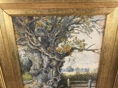 Lot 155 - English School, early 20th century watercolour, English oak