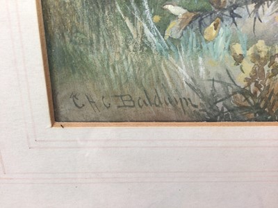 Lot 152 - Charles Henry C. Baldwyn (1859-1943) watercolour and bodycolour fledglings