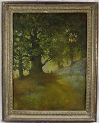 Lot 1103 - Norman Coker (Contemporary) oil on canvas, Spring, New Forest