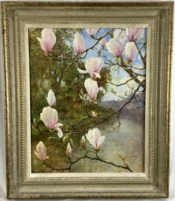 Lot 187 - Norman Coker (Contemporary) oil on board, Magnolias