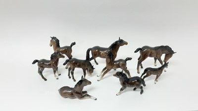 Lot 82 - Nine Beswick Foals including Foal (lying) model no. 915, designed by Arthur Gredington, 8cm high