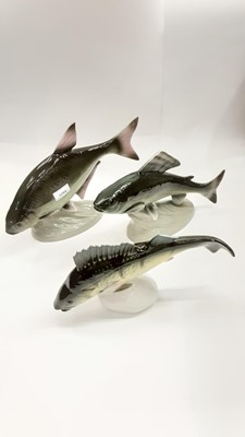 Lot 1254 - Three large Royal Dux models of Fish- a Shad, Perch and Grayling (3)