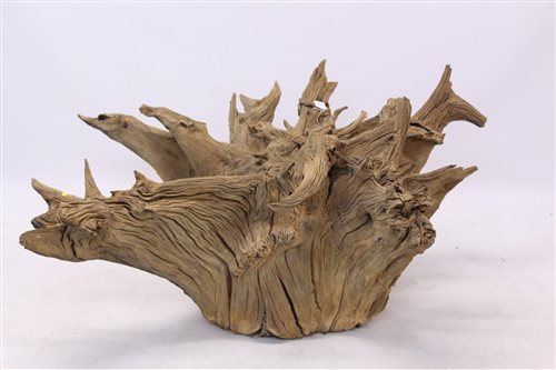 Lot 1427 - Very large ornamental inverted tree stump,...