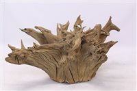 Lot 1427 - Very large ornamental inverted tree stump,...