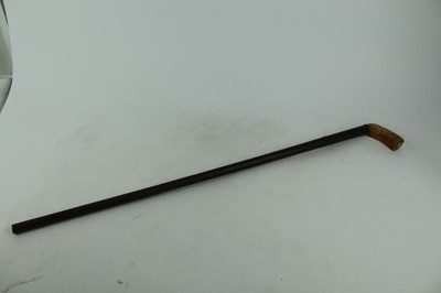 Lot 904 - 19 th century percussion gun stick with stag horn handle Days Patent Newgate makers mark 40 bore