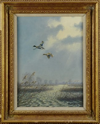 Lot 986 - *Julian Novorol oil on canvas Mallards in flight