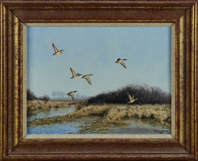 Lot 985 - *Julian Novorol (b.1949) oil on canvas - Teal over the Marshes, signed and dated 1986, 31cm x 41cm, in gilt frame