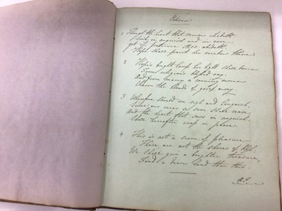 Lot 1472 - Set of four interesting 19th century journals / scrap books containing extensive writing, watercolours, prints and photographs of an Ostrich farm in South Africa.