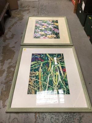 Lot 538 - Pair of mixed media floral pictures, pencilled signed by Lynsey Adams 1996 plus Harry Potter Quidditch game