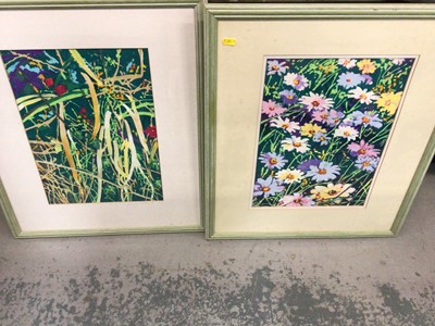 Lot 538 - Pair of mixed media floral pictures, pencilled signed by Lynsey Adams 1996 plus Harry Potter Quidditch game