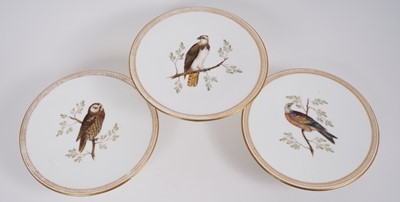Lot 87 - Three 19th century footed ornithological dishes