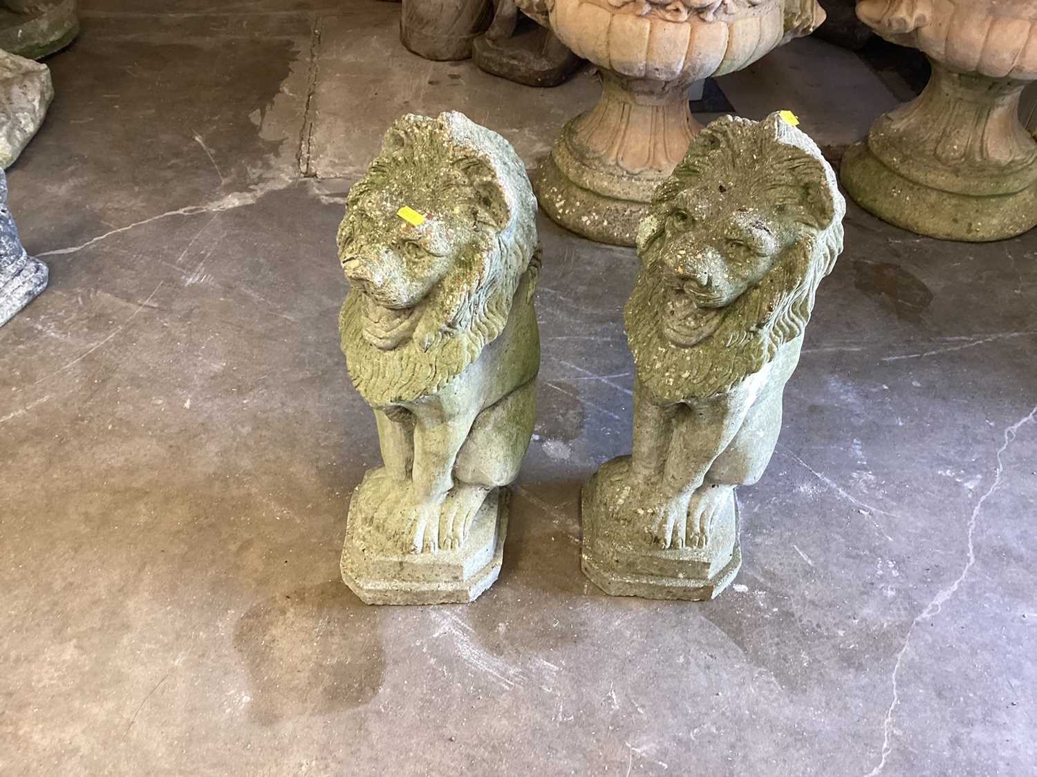 Lot 1035 - Pair of concrete garden lions, 55cm high