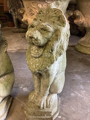 Lot 1035 - Pair of concrete garden lions, 55cm high