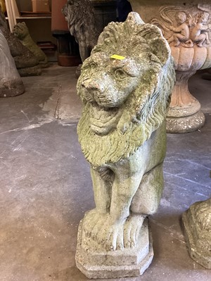 Lot 1035 - Pair of concrete garden lions, 55cm high