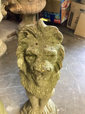 Lot 1035 - Pair of concrete garden lions, 55cm high