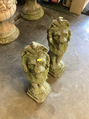 Lot 1035 - Pair of concrete garden lions, 55cm high