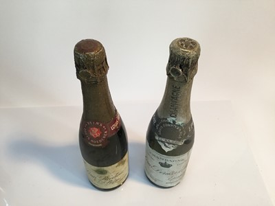 Lot 8 - Champagne - nine half bottles, Moët & Chandon, Louis Roederer and others