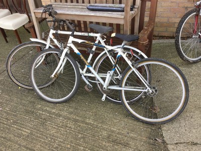 Lot 637 - Raleigh Discovery Hyperglide bicycle together with another Raleigh bicycle (2)