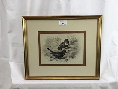 Lot 82 - Philip Henry Delanotte - pencil and wash, The Ring Ouzel