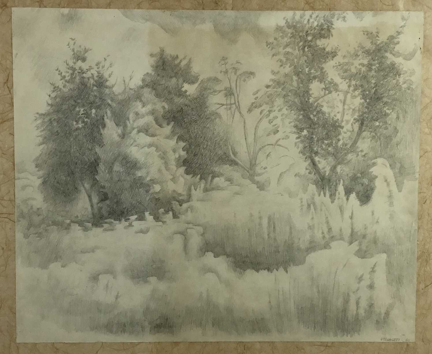 Lot 72 - Elisabeth Velacott (1905-2002) - pencil, Orchard Drawing
