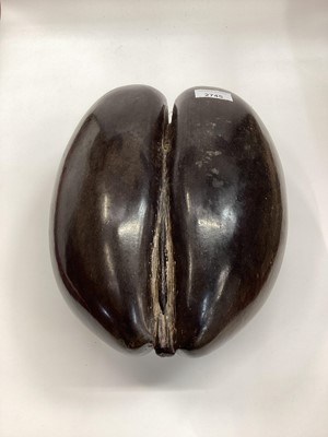 Lot 2745 - Large Coco De Mer nut (Lodoicea Maldivica), polished surface, approximately 35 x 21cm