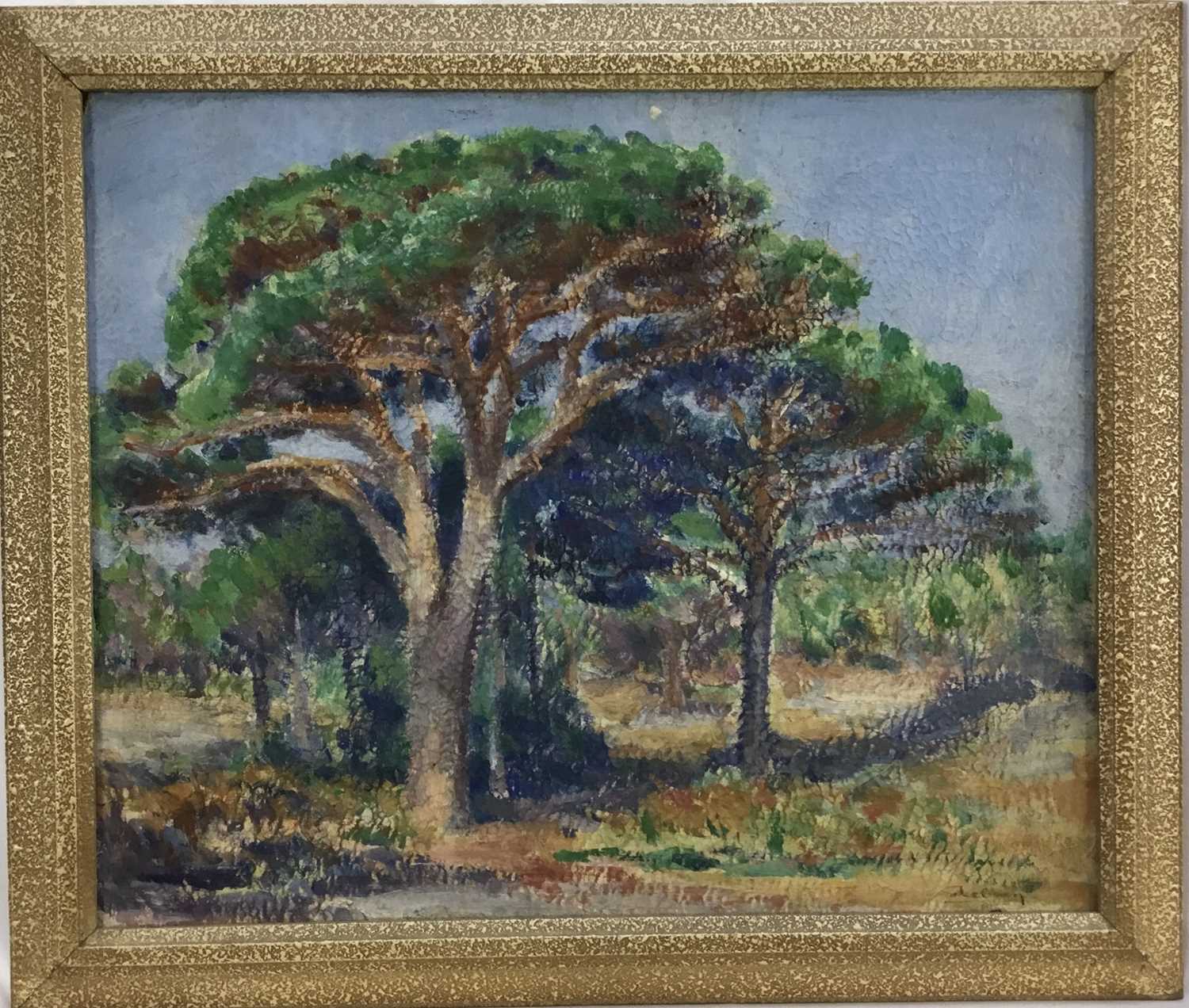 Lot 314 - Mid 20th century oil on canvas - trees in landscape, indistinctly signed, 45cm x 37cm, framed