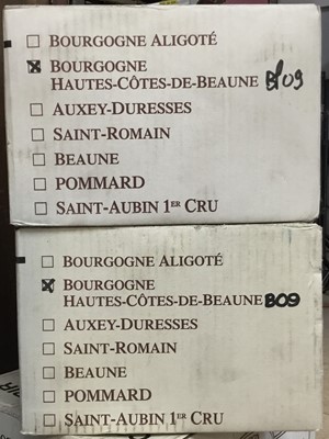 Lot 91 - Wine - twelve bottles, 2009 Hautes Cotes de Beaune Blanc, Domaine Billard, Burgundy - packed 6x75cl.