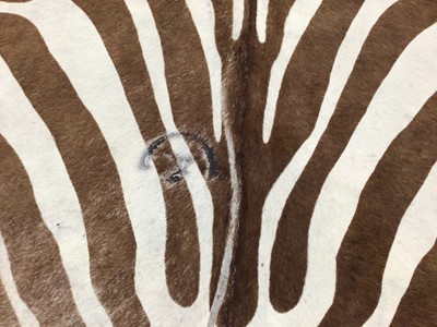 Lot 493 - Brazilian Steer hide painted zebra pattern rug