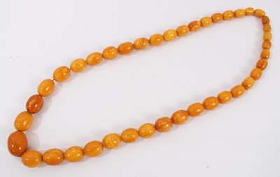 Lot 534 - Amber bead necklace