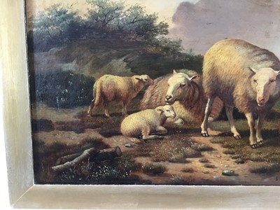 Lot 25 - E. Gerards, 19th century, oil on panel - sheep on a hillside, signed, 30cm x 23cm, in gilt frame