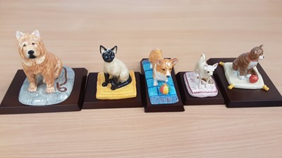 Lot 1303 - Three Royal Doulton dogs - Chow Chow, Chihuahua and Corgi plus two Royal Doulton cats - Siamese and Maine Coon, all boxed