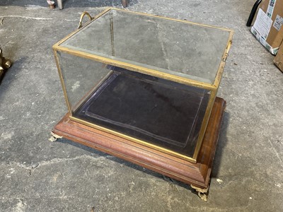 Lot 246 - Good quality glazed display case, with bevelled glass on oak stand and bracket feet, 43cm wide