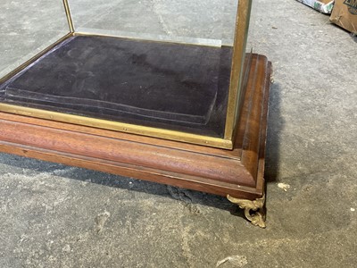 Lot 246 - Good quality glazed display case, with bevelled glass on oak stand and bracket feet, 43cm wide