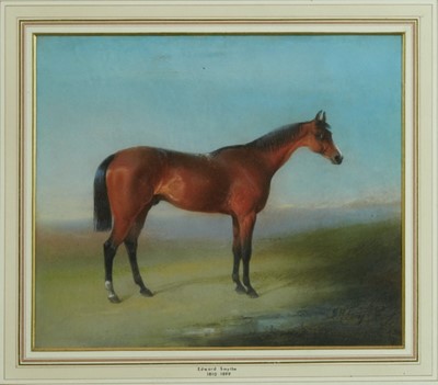 Lot 1148 - Edward Robert Smythe (1810-1899) pastel - portrait of a bay horse, signed, 29cm x 34cm, in glazed frame