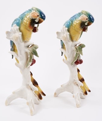 Lot 24 - Pair of Karl Ens porcelain models of parrots picking cherries, model number 7622, 32cm high