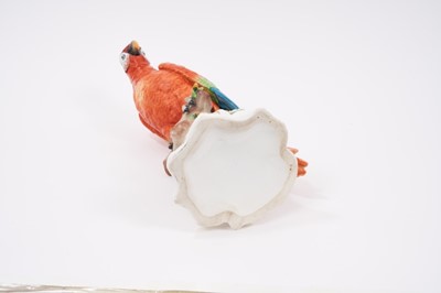 Lot 25 - Large continental porcelain model of a parrot, possibly Samson, naturalistically modelled and hand painted, gold anchor mark to the base, 35cm high