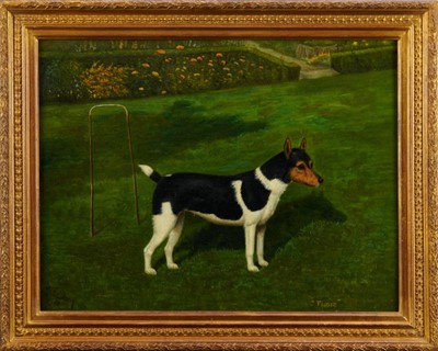 Lot 1044 - William Albert Clark (1880 - 1963) oil on canvas, A black and white Jack Russell named Flusie standing by a croquet hoop in a garden, signed inscribed and dated 1944. 34 x 45cm.