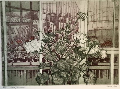 Lot 85 - *Olwen Jones (b.1945) etching - 'White Geraniums', signed and numbered 2/50, 38cm x 27.5cm