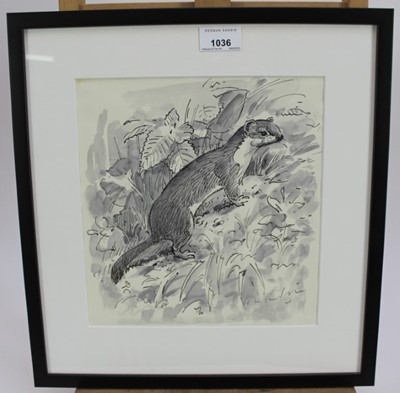 Lot 1036 - Peter Partington (b.1941) monochrome watercolour - a stoat, signed, 25cm x 23cm, in glazed ebonised frame