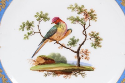 Lot 153 - A Paris porcelain plate, painted with birds, circa 1820