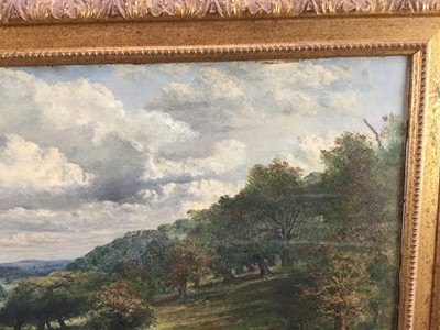 Lot 185 - J. M. Barber, 1860s oil on canvas - extensive rural landscape with deer grazing, signed and dated 1863, in gilt frame