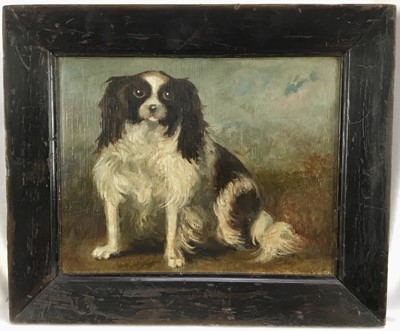 Lot 276 - English School, oil on panel - portrait of a seated spaniel, in ebonised frame