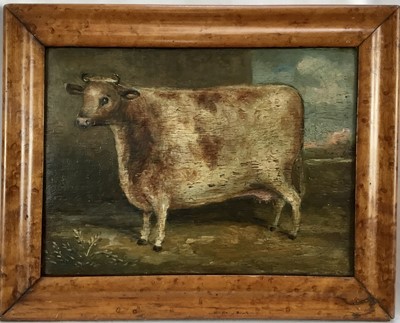 Lot 234 - English School, oil on panel - a prize cow, in maple veneered frame