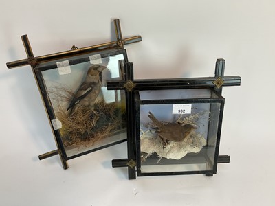 Lot 932 - Robin within a snow setting and a Hawfinch within naturalistic setting, both in glazed wall hanging cases