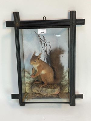 Lot 933 - Late Victorian Red Squirrel within naturalistic setting in glazed wall hanging case