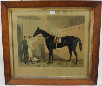 Lot 1019 - 19th century hand coloured engraving after Harry Hall - Voltigeur, Winner of the Derby and St Leger 1850, 50cm x 58cm, in glazed maple veneered frame