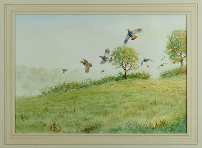 Lot 1002 - Ben Hoskyns (b.1963) watercolour - Autumn Partridges, signed, 39cm x 56cm, in glazed gilt frame